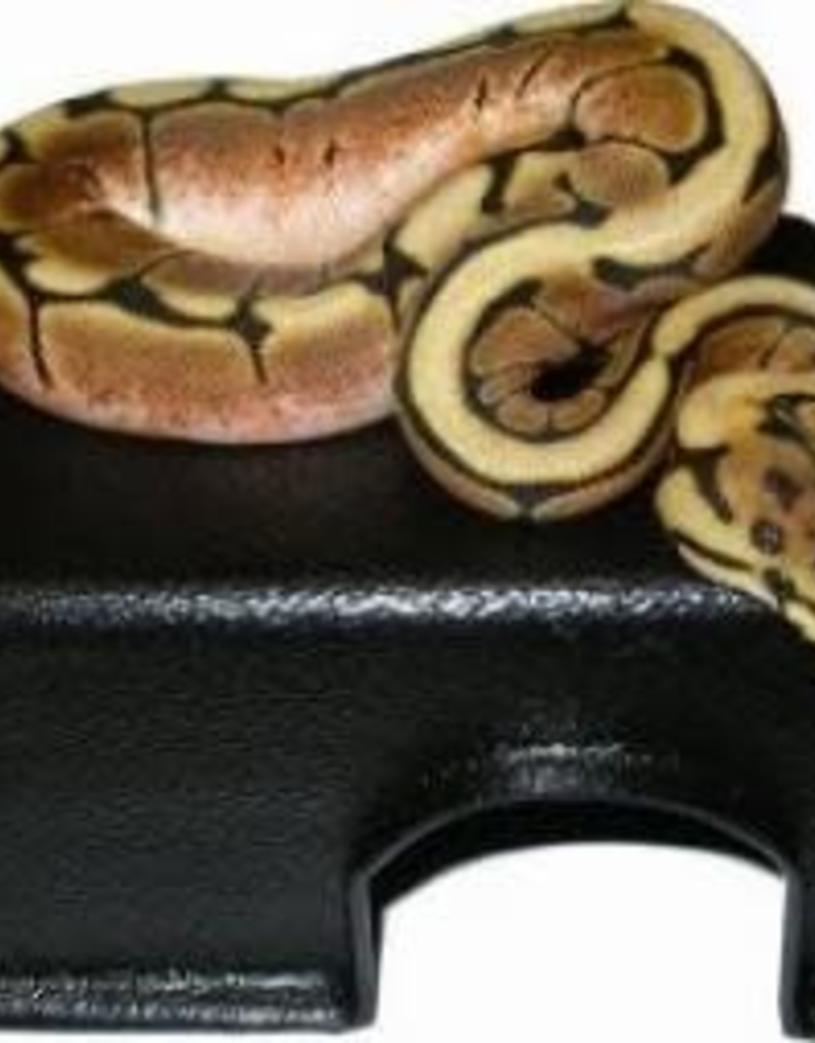RECTANGLE BLACK HIDE BOX