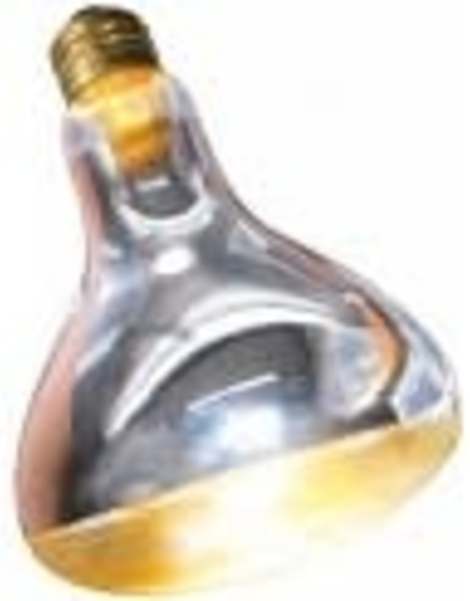 ZOO MED LABORATORIES, INC. ZOO MED- SL-250- REPTI BASKING SPOT LAMP/BULB- 250W