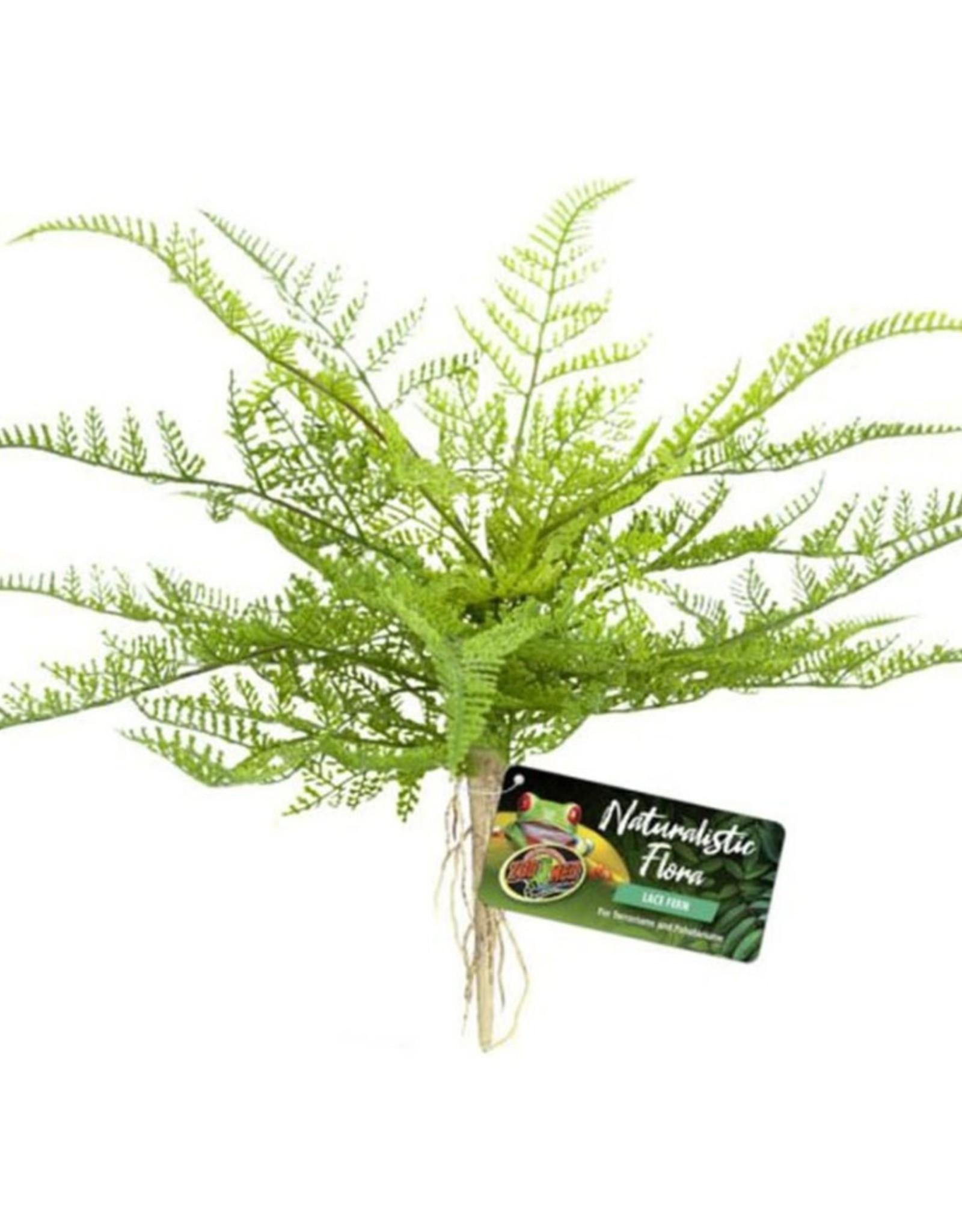 ZOO MED LABORATORIES, INC. ZOO MED- BU-62- NATURALISTIC FLORA- TERRARIUM PLANT- LACE FERN-  14X6X4
