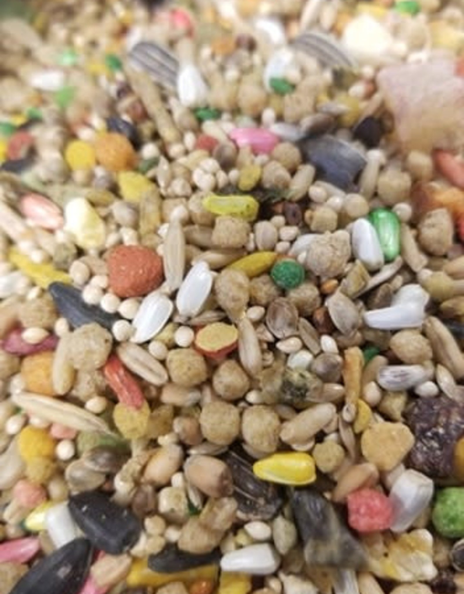 RHONDA'S AVIARY BIN #101- RHONDA'S- COCKATIEL/CONURE MIX- 6X6X6- (RONCON) (EXP: 7-14-26)- PER LB