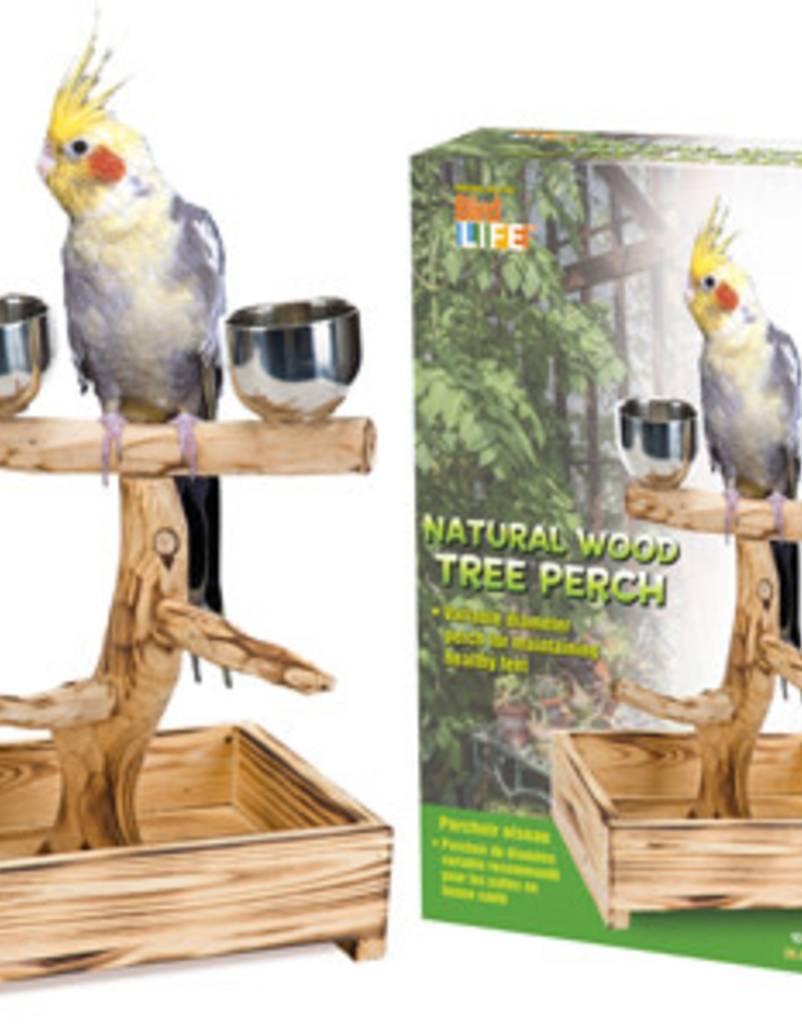 PENN-PLAX BIRD LIFE- BIRD TREE- TABLE TOP PERCH- PLAY GYM- 11.75X10.5X8.75- SMALL/MEDIUM