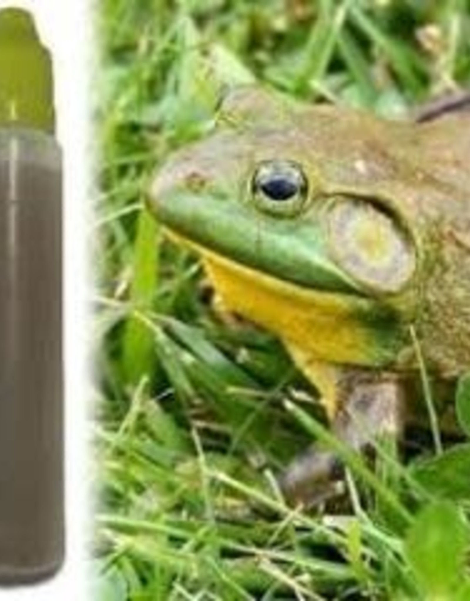 REPTILINKS REPTILINKS- SCENTING-  FROG JUICE- 1 OZ (PRE-ORDER ONLY)
