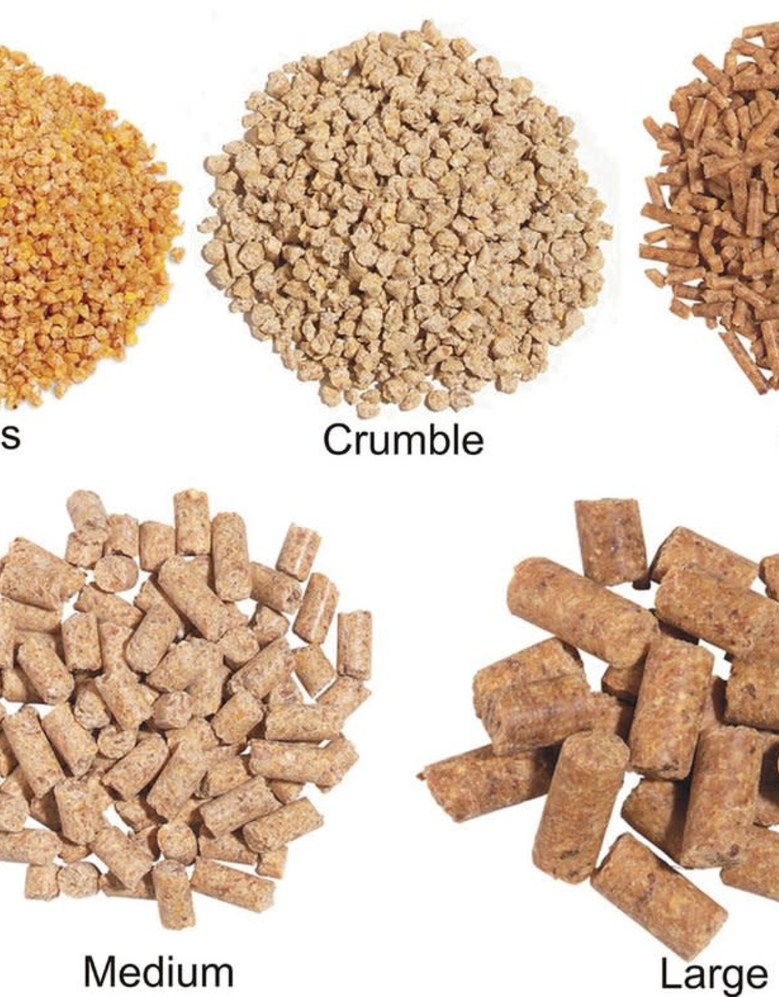 ROUDYBUSH ROUDYBUSH- MAINTENANCE- 12X6X18- NIBBLES- 10 LB
