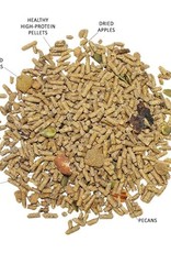 EXOTIC NUTRITION EN3170- DELUXE- 6X8X2-  SQUIRREL DIET 2 LB