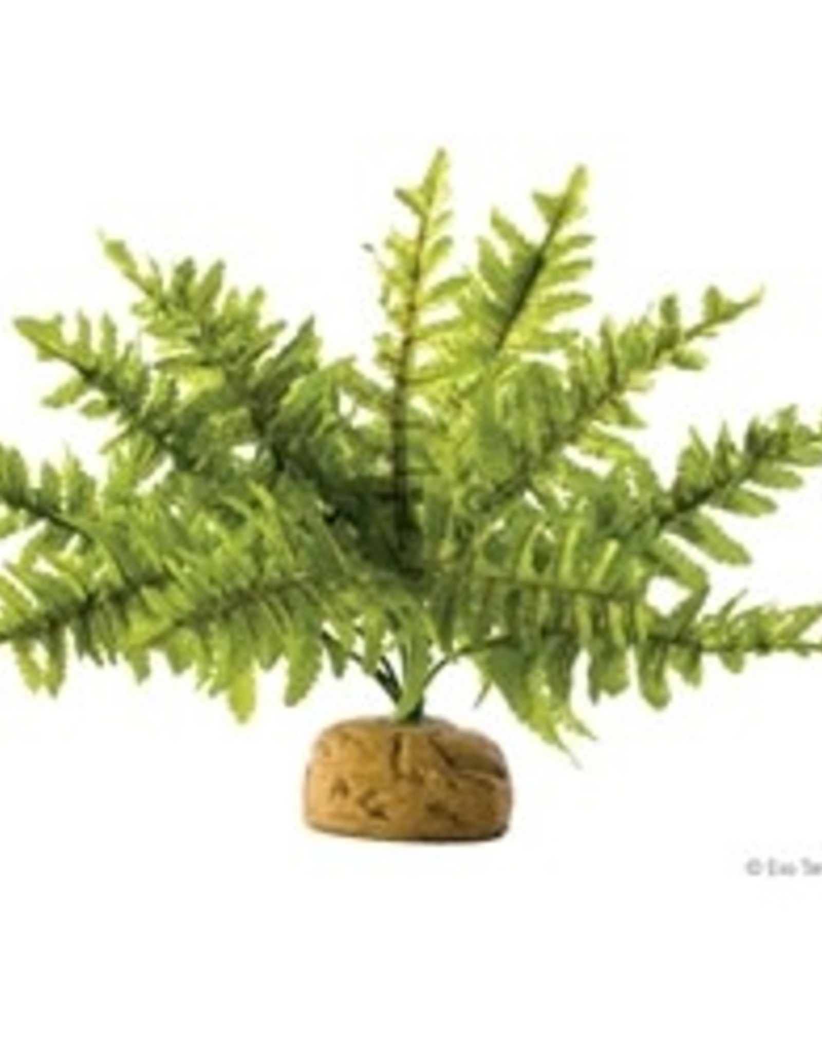 EXO TERRA EXO TERRA- PT2995- TERRARIUM PLANT- 12X12X14- BOSTON FERN- MEDIUM