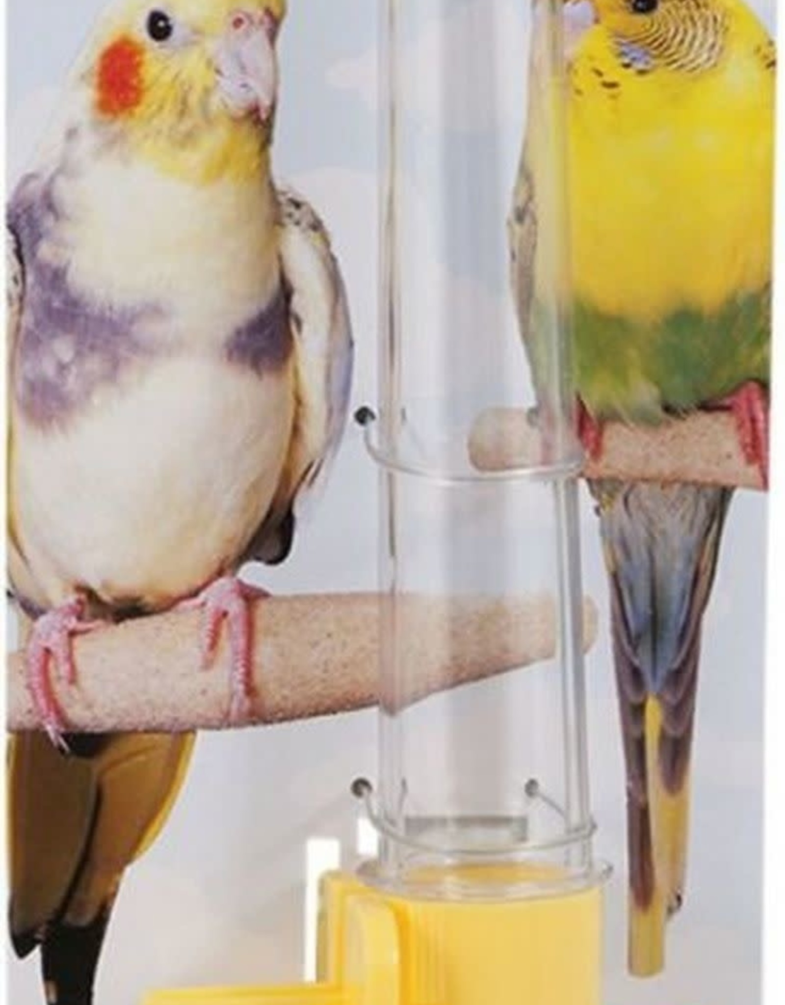 JW JW3130 TALL CLEAR WATER SILO Rhonda's Aviary