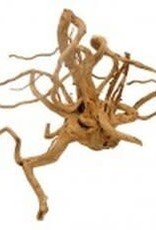 GALAPAGOS GALAPAGOS- SPIDER WOOD- 12-24 INCHES