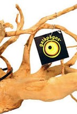 GALAPAGOS GALAPAGOS- SPIDER WOOD- 12-24 INCHES