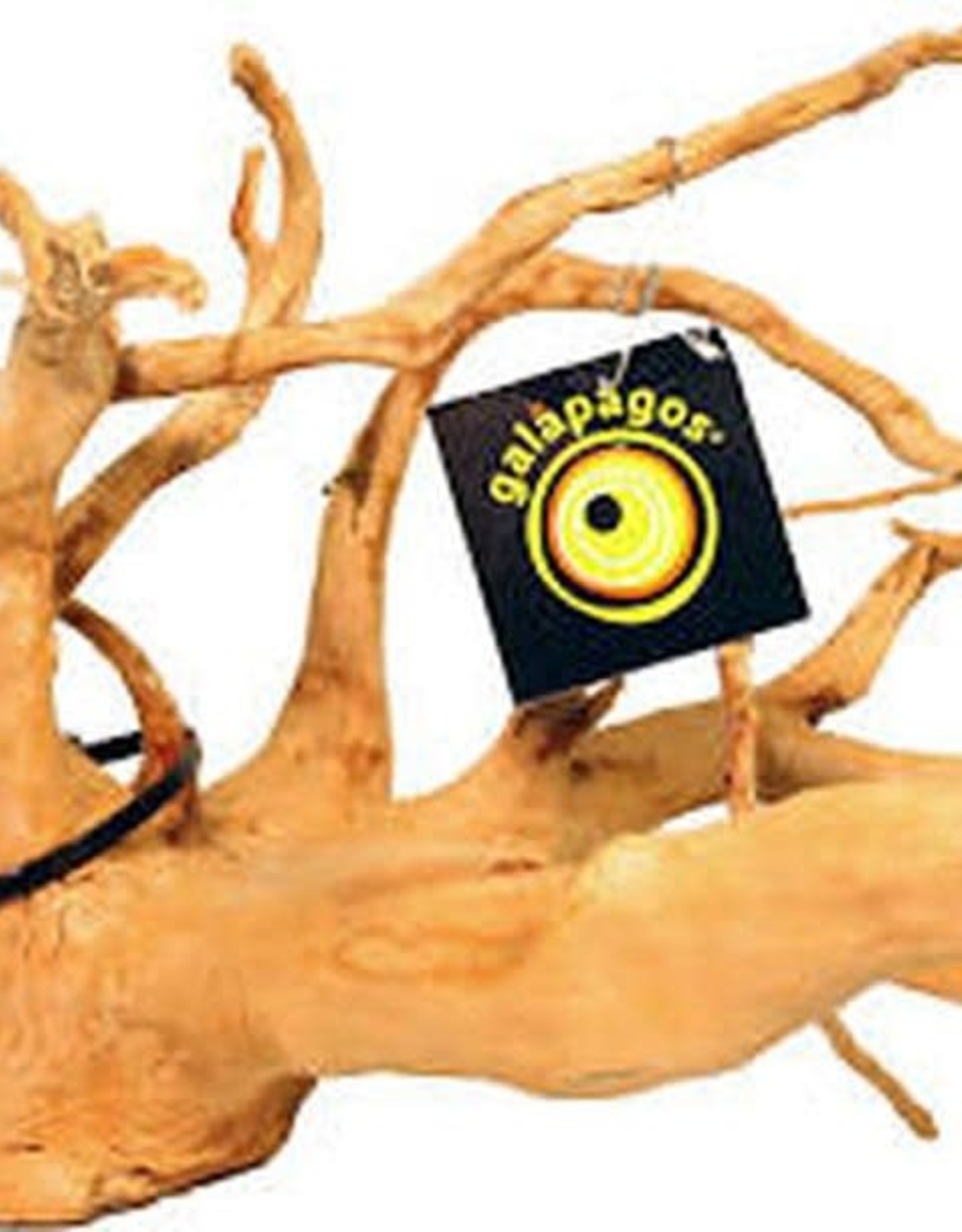 GALAPAGOS GALAPAGOS- SPIDER WOOD- 12-24 INCHES