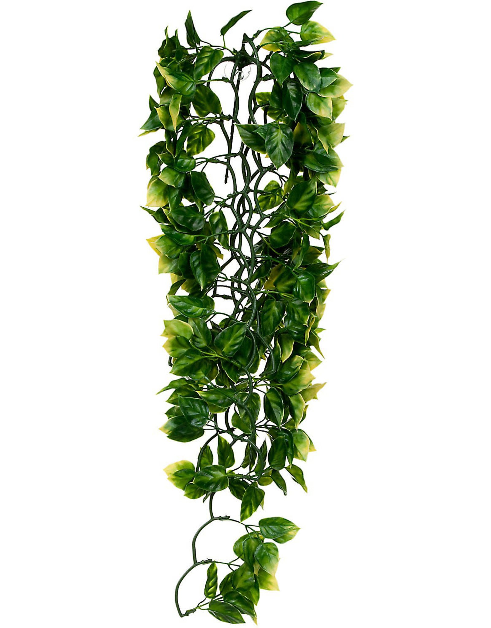 EXO TERRA EXO TERRA- PT3021- TERRARIUM- JUNGLE PLANT- PLASTIC- 28X9X3- AMAPALLO- LARGE