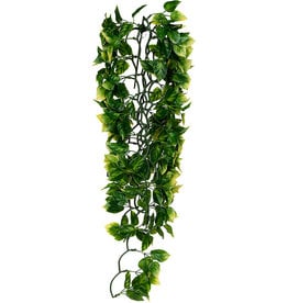 EXO TERRA EXO TERRA- PT3021- TERRARIUM- JUNGLE PLANT- PLASTIC- 28X9X3- AMAPALLO- LARGE