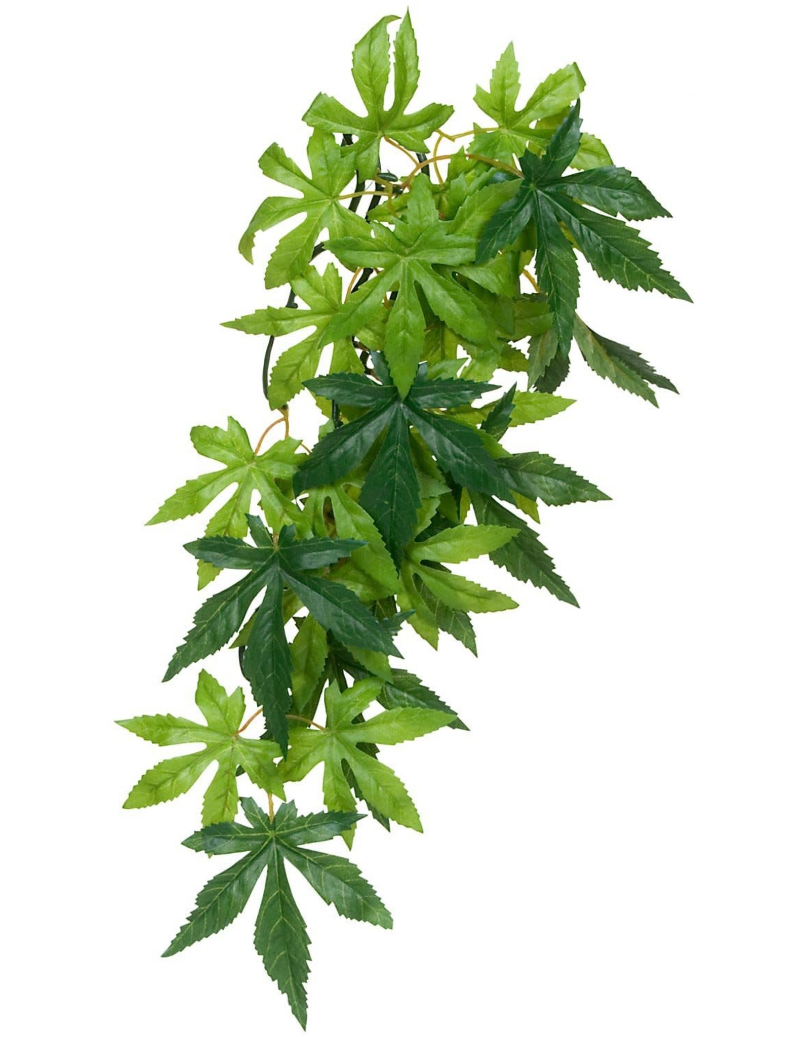 EXO TERRA EXO TERRA- PT3052- TERRARIUM- JUNGLE PLANT- SILK- 19X6X3- ABUTILON- LARGE
