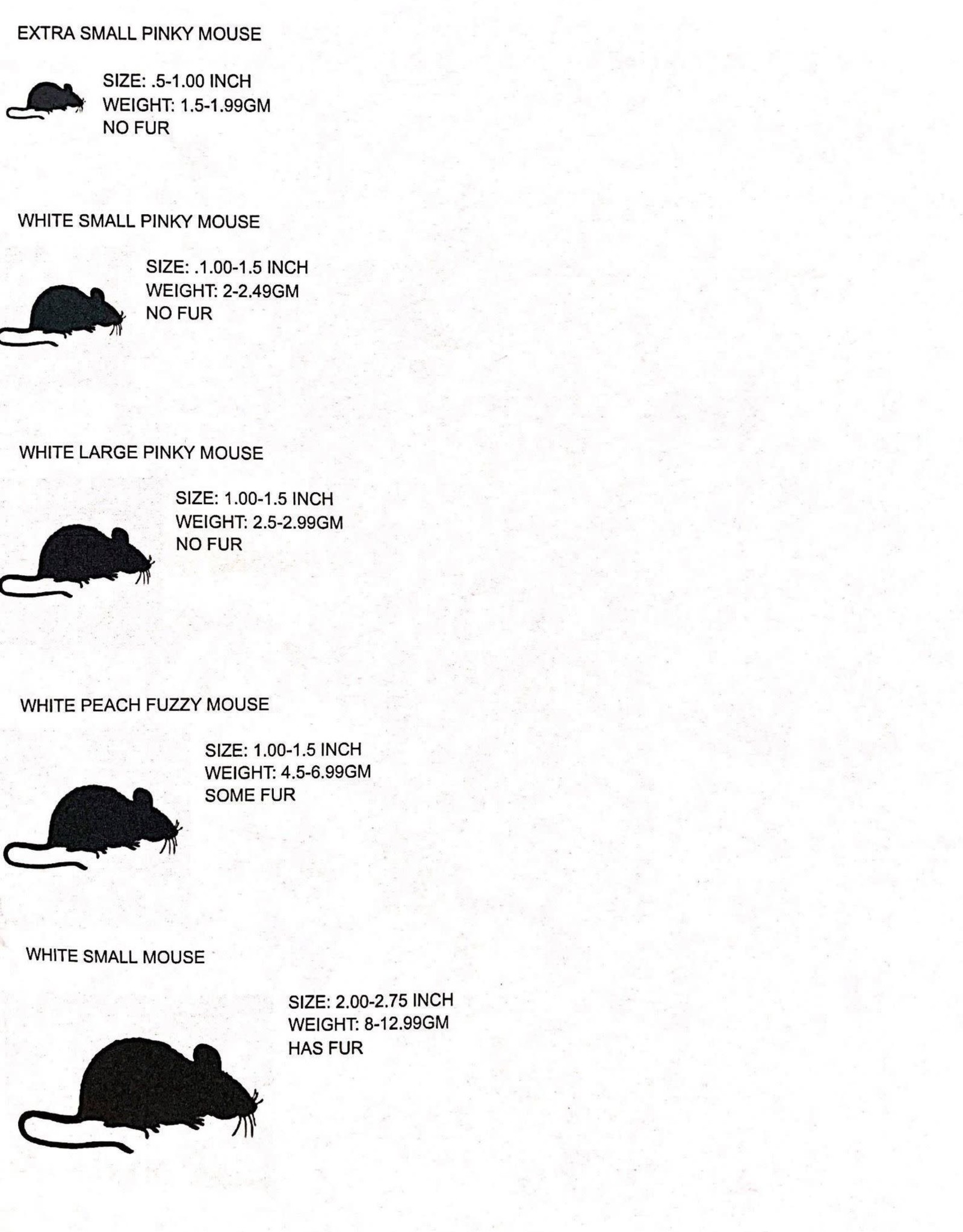 FROZEN- WHITE MICE- SMALL/HOPPER-  2-2.75 INCH (WEIGHT 8-12.99 GM)