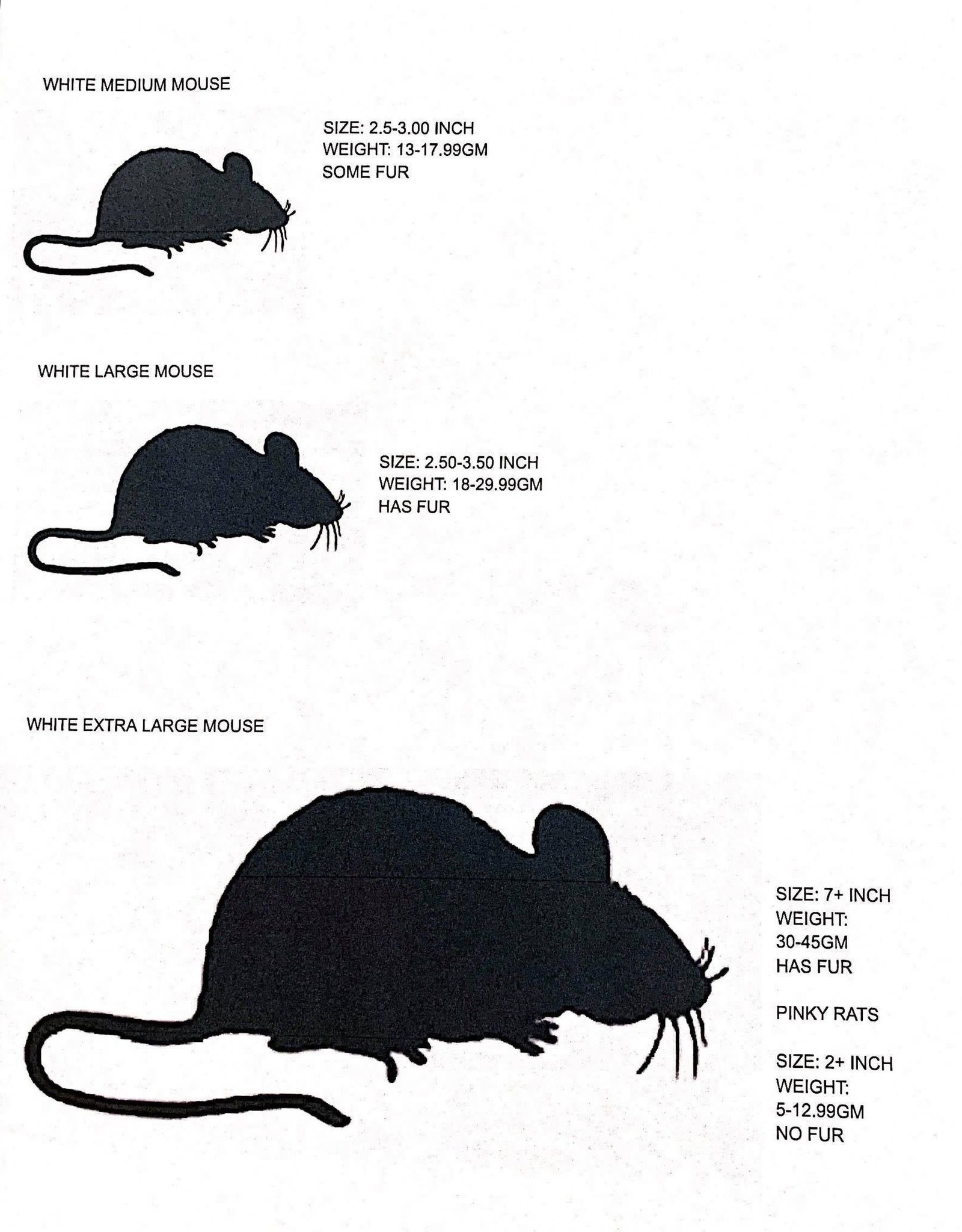 Blind In Mind The Braille Superstore Beeping Softball Bats Arctic