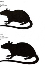 FROZEN- RAT- MEDIUM- 5.5 INCH (WEIGHT 85-174.99 GM) 10CT *PREORDER ONLY*