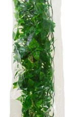 ZOO MED LABORATORIES, INC. ZOO MED- BU-30- NATURALIST FLORA- BUSH PLANT- MEXICAN PHYLLO PLANT - LARGE