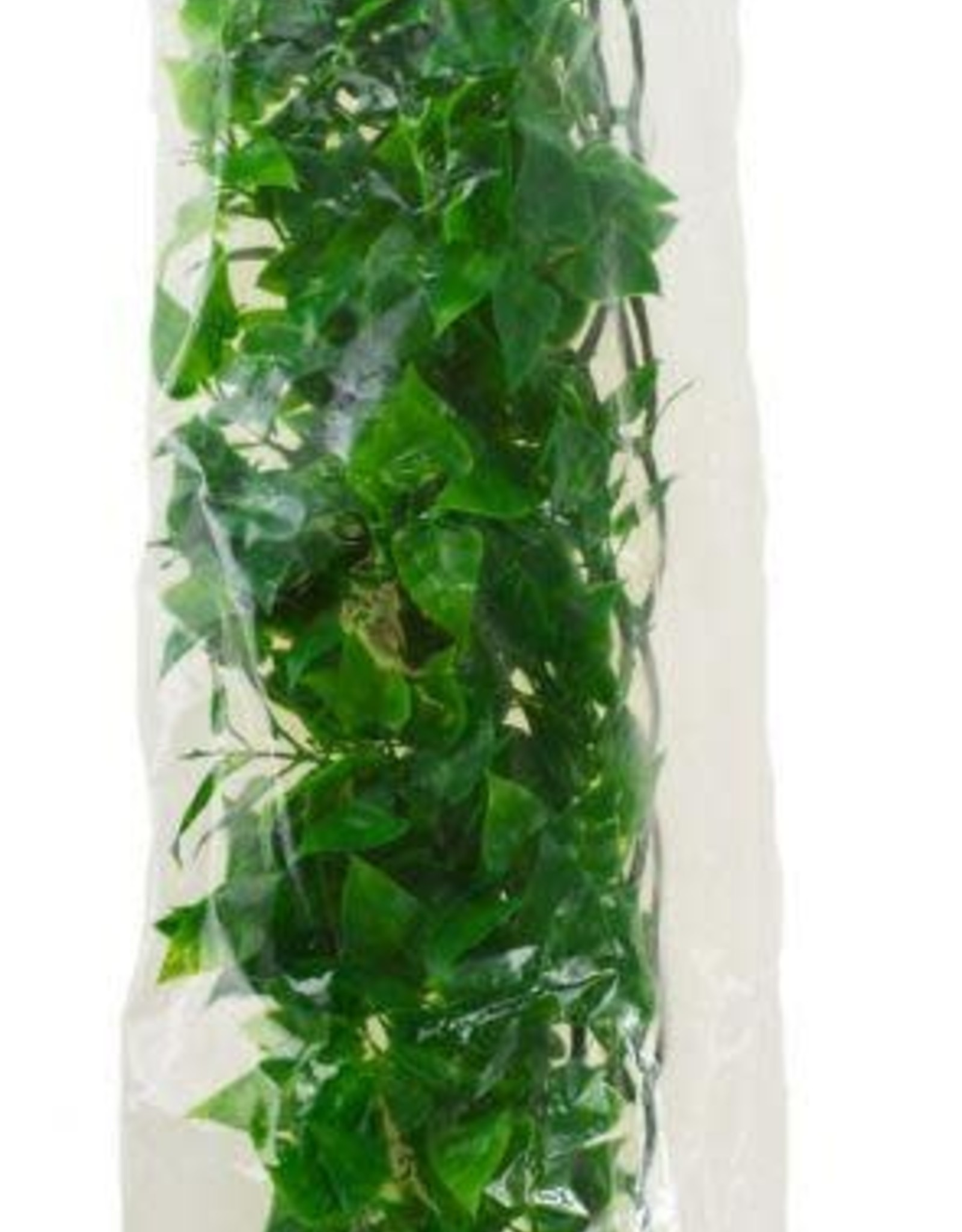 ZOO MED LABORATORIES, INC. ZOO MED- BU-30- NATURALIST FLORA- BUSH PLANT- MEXICAN PHYLLO PLANT - LARGE