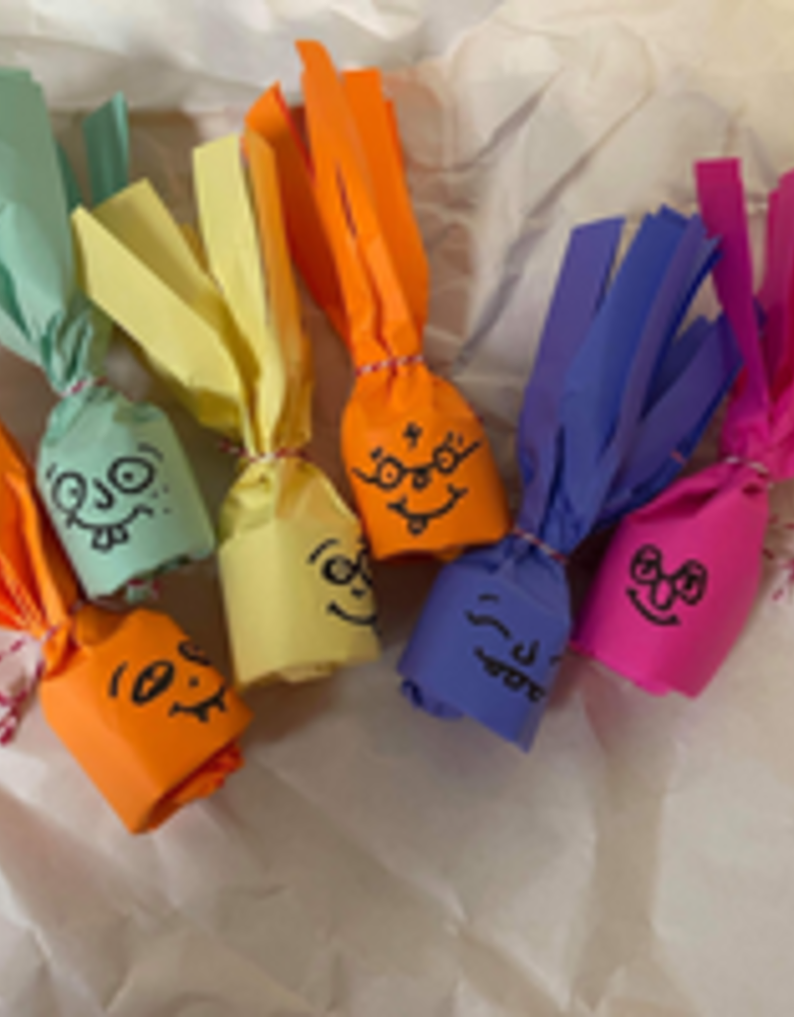 RHONDA'S AVIARY FORAGING TOY- PINATA-SHREDDED PAPER