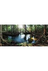 GALAPAGOS TERRARIUM CLING BACKGROUND- 11X36- TROPICAL