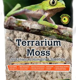 GALAPAGOS GALAPAGOS- TERRARIUM MOSS- REINDEER- 150CI