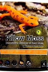 GALAPAGOS GALAPAGOS- PILLOW MOSS- 4 QT