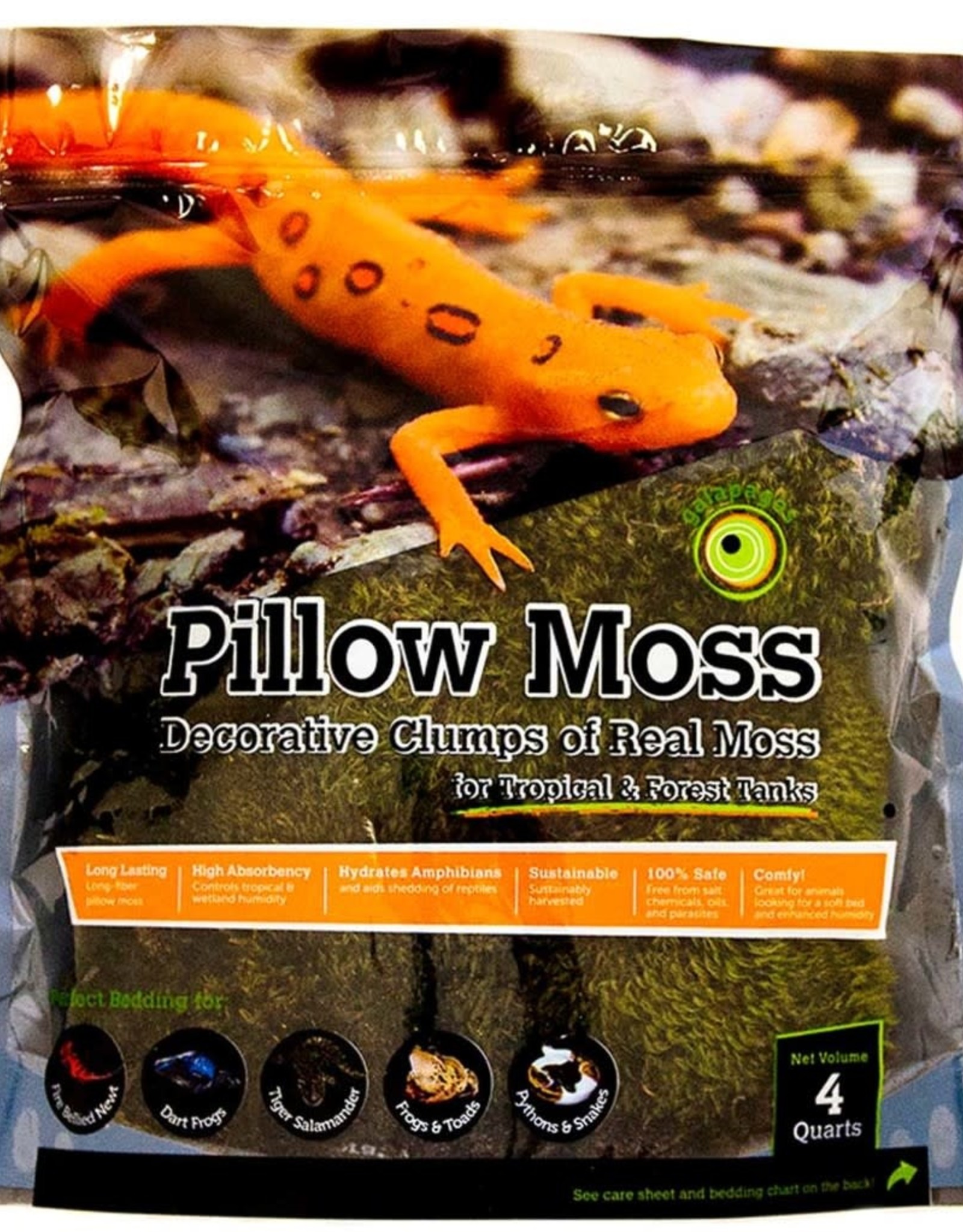 GALAPAGOS GALAPAGOS- TERRARIUM MOSS- PILLOW-  GREEN 4 QT