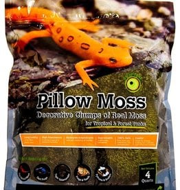 GALAPAGOS GALAPAGOS- TERRARIUM MOSS- PILLOW-  GREEN 4 QT