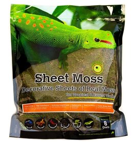 GALAPAGOS GALAPAGOS- SHEET MOSS- 8 QT