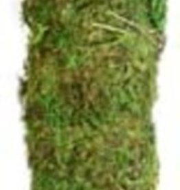 GALAPAGOS GALAPAGOS MOSSY PERCH/STICK (FOR PLANTS) TERRARIUM GREEN 18 IN*