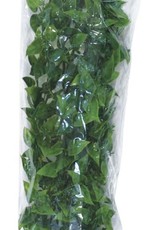 ZOO MED LABORATORIES, INC. ZOO MED- BU-30- NATURALIST FLORA- BUSH PLANT- MEXICAN PHYLLO PLANT - LARGE