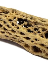 CHOLLA WOOD NATURAL 7-10 INCHES (DIA VARIES)