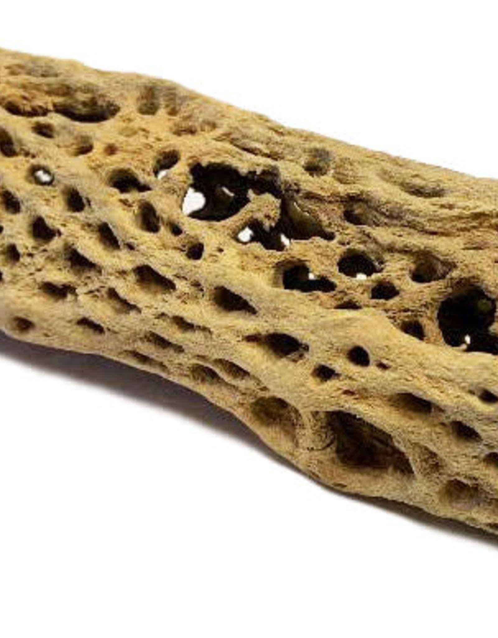 CHOLLA WOOD NATURAL 7-10 INCHES (DIA VARIES)