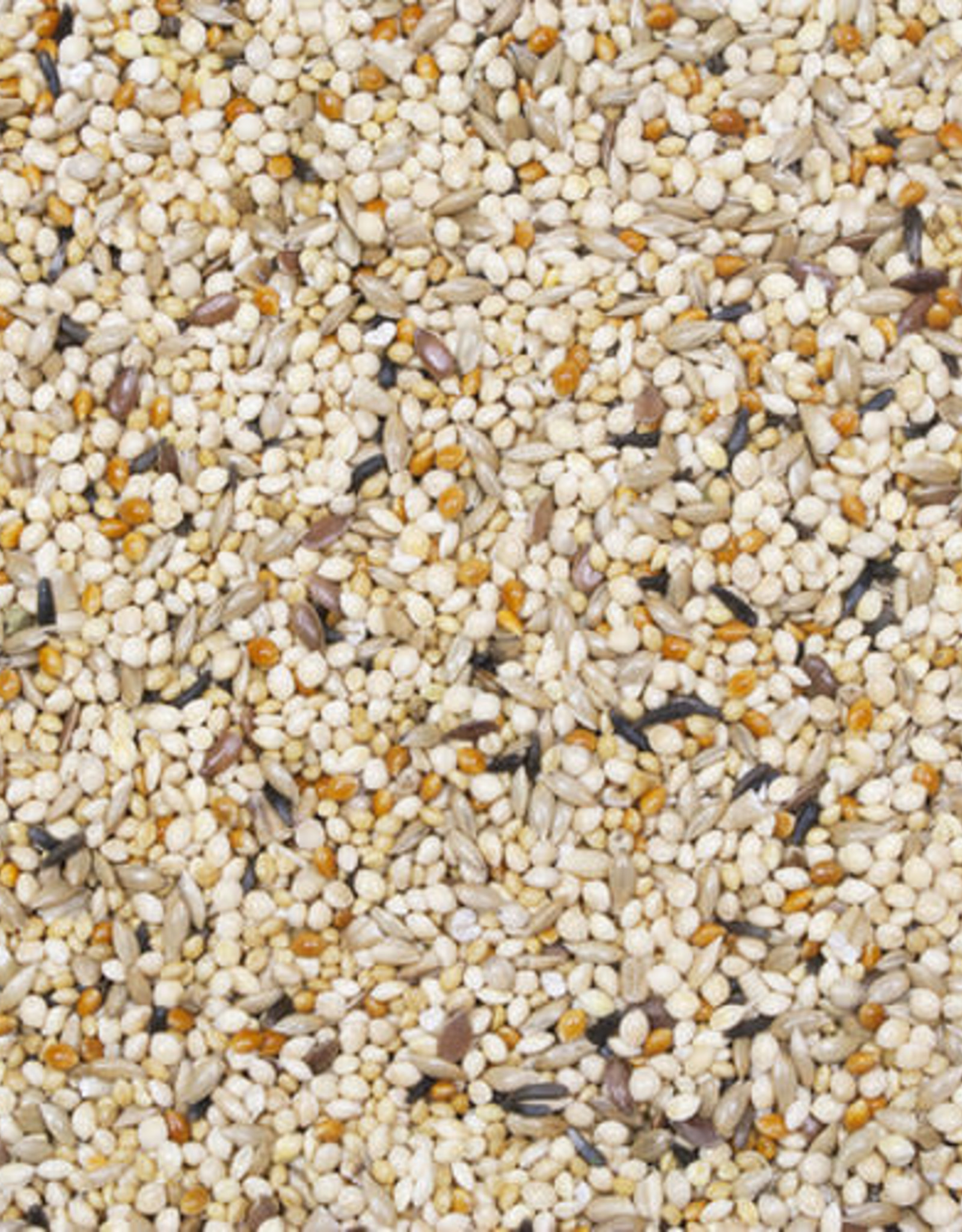 HIGGINS PREMIUM PET FOODS BIN #106- HIGGINS- SUPREME- 5X5X5- PARAKEET- PER LB
