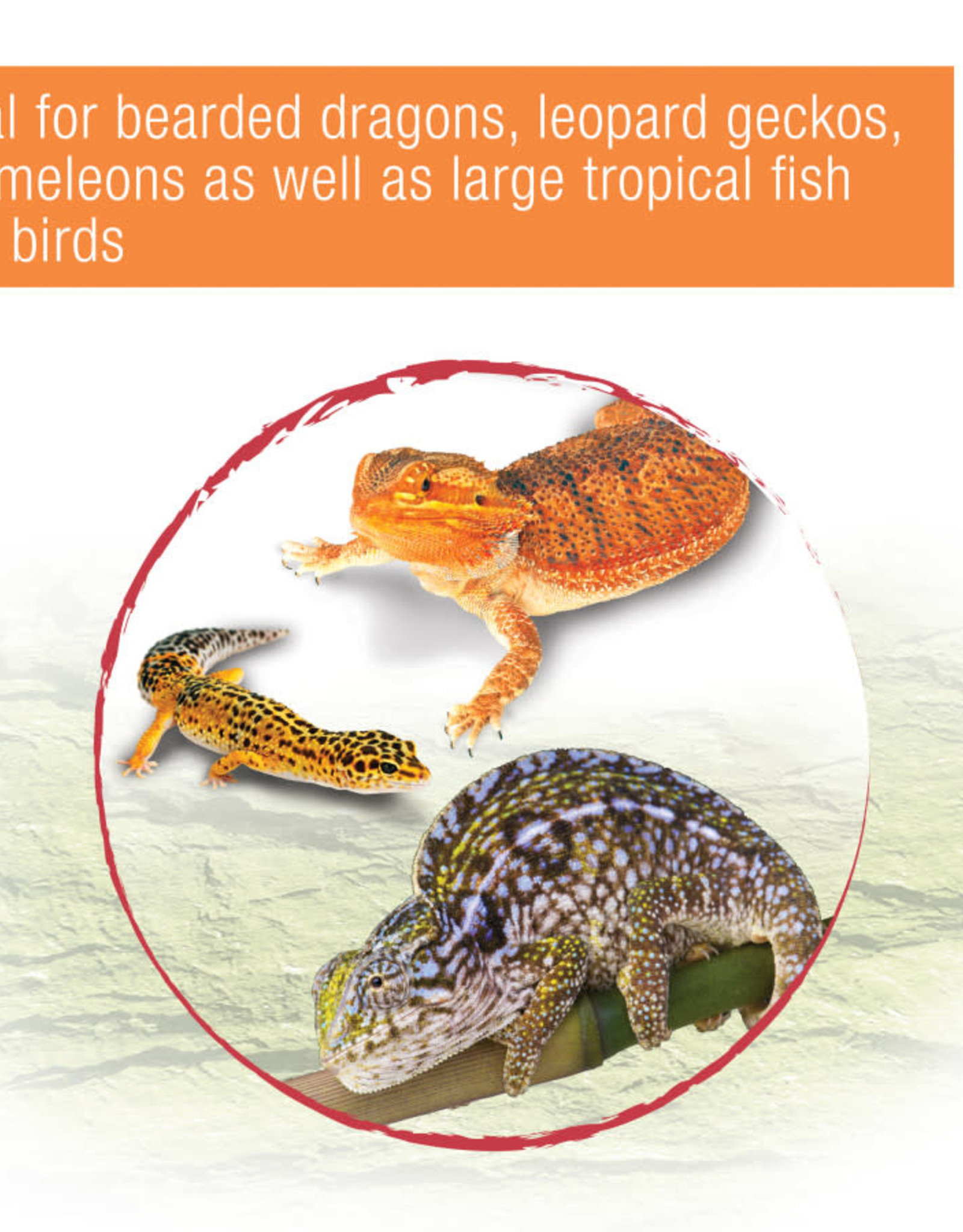 ZILLA REPTILE MUNCH MEALWORM 3.75 OZ Rhonda's Aviary