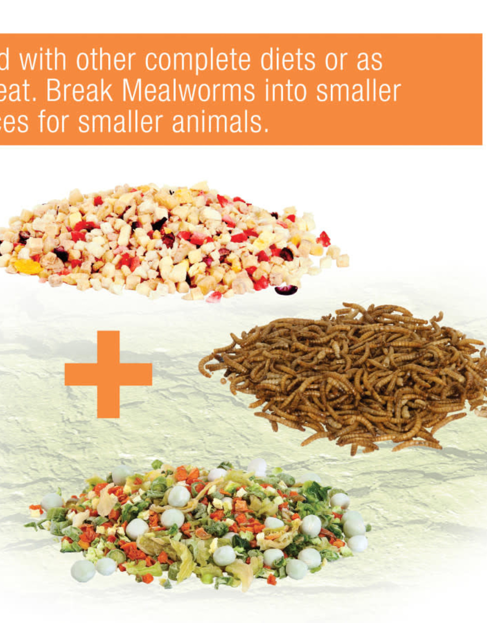 ZILLA REPTILE MUNCH MEALWORM 3.75 OZ Rhonda's Aviary