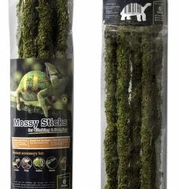 GALAPAGOS GALAPAGOS-MOSSY STICKS- 24 INCH- GREEN-  6 PACK