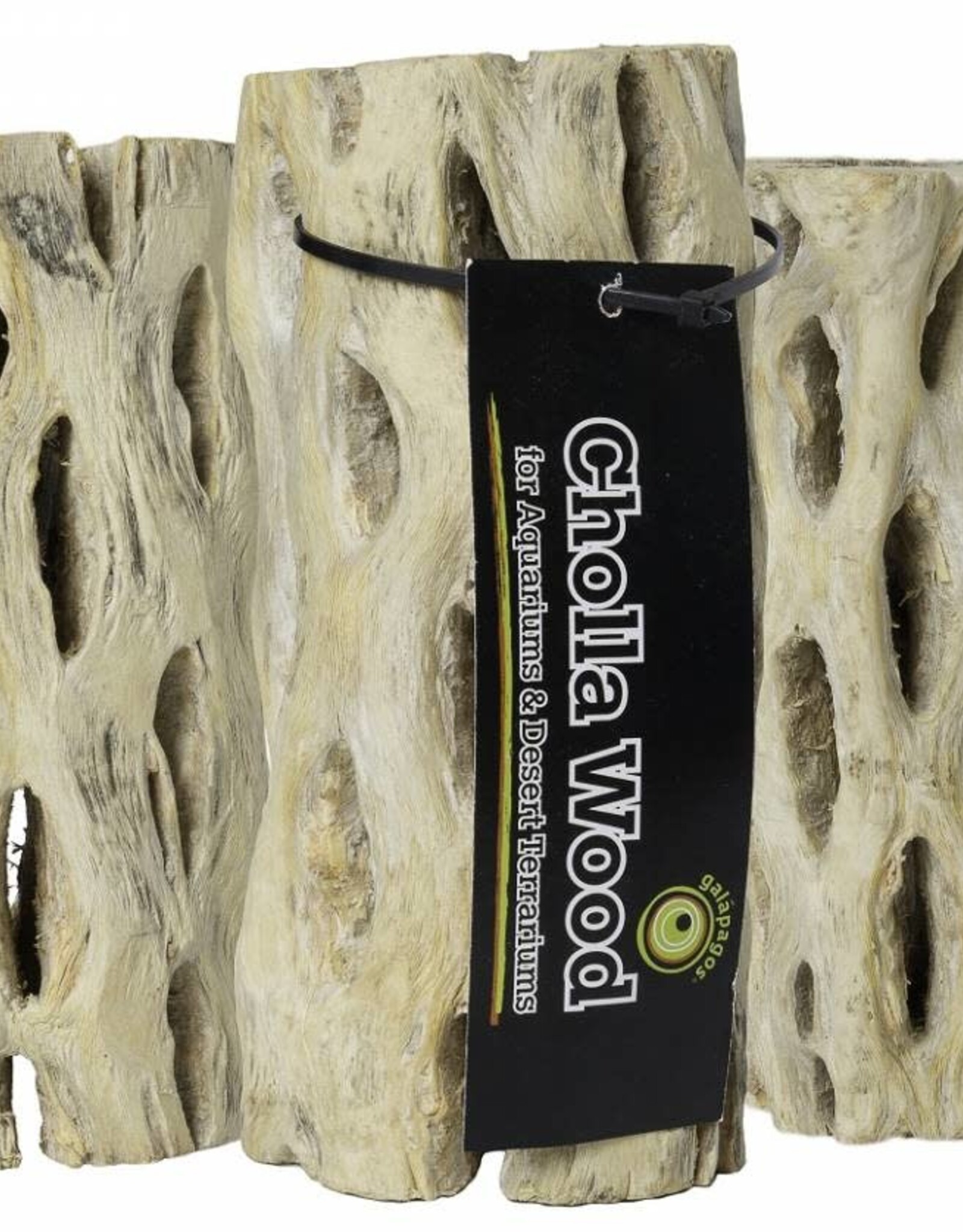 GALAPAGOS GALAPAGOS CHOLLA WOOD BRANCHES NATURAL 36 IN