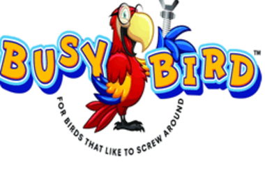 BUSY BIRD
