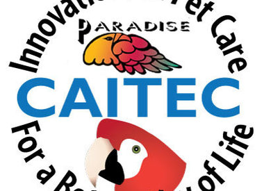 CAITEC CORPORATION