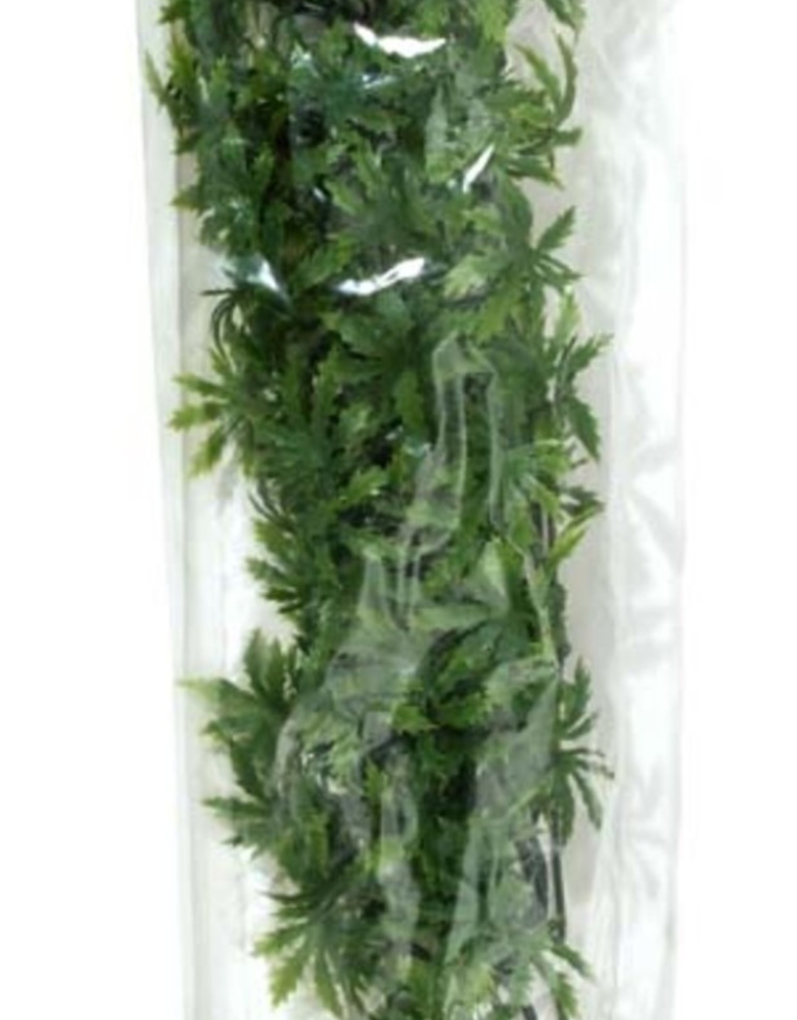 ZOO MED LABORATORIES, INC. ZOO MED- BU-36- NATURALISTIC FLORA- BUSH PLANT- CANNABIS- 22X5X3- LARGE