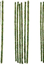 GALAPAGOS GALAPAGOS MOSSY STICKS FRESH 18 INCH- GREEN   6 PACK