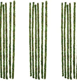 GALAPAGOS GALAPAGOS MOSSY STICKS FRESH 18 INCH- GREEN   6 PACK