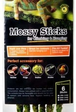 GALAPAGOS GALAPAGOS MOSSY STICKS FRESH 18 INCH- GREEN   6 PACK