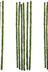 GALAPAGOS GALAPAGOS-MOSSY STICKS- 24 INCH- GREEN-  6 PACK