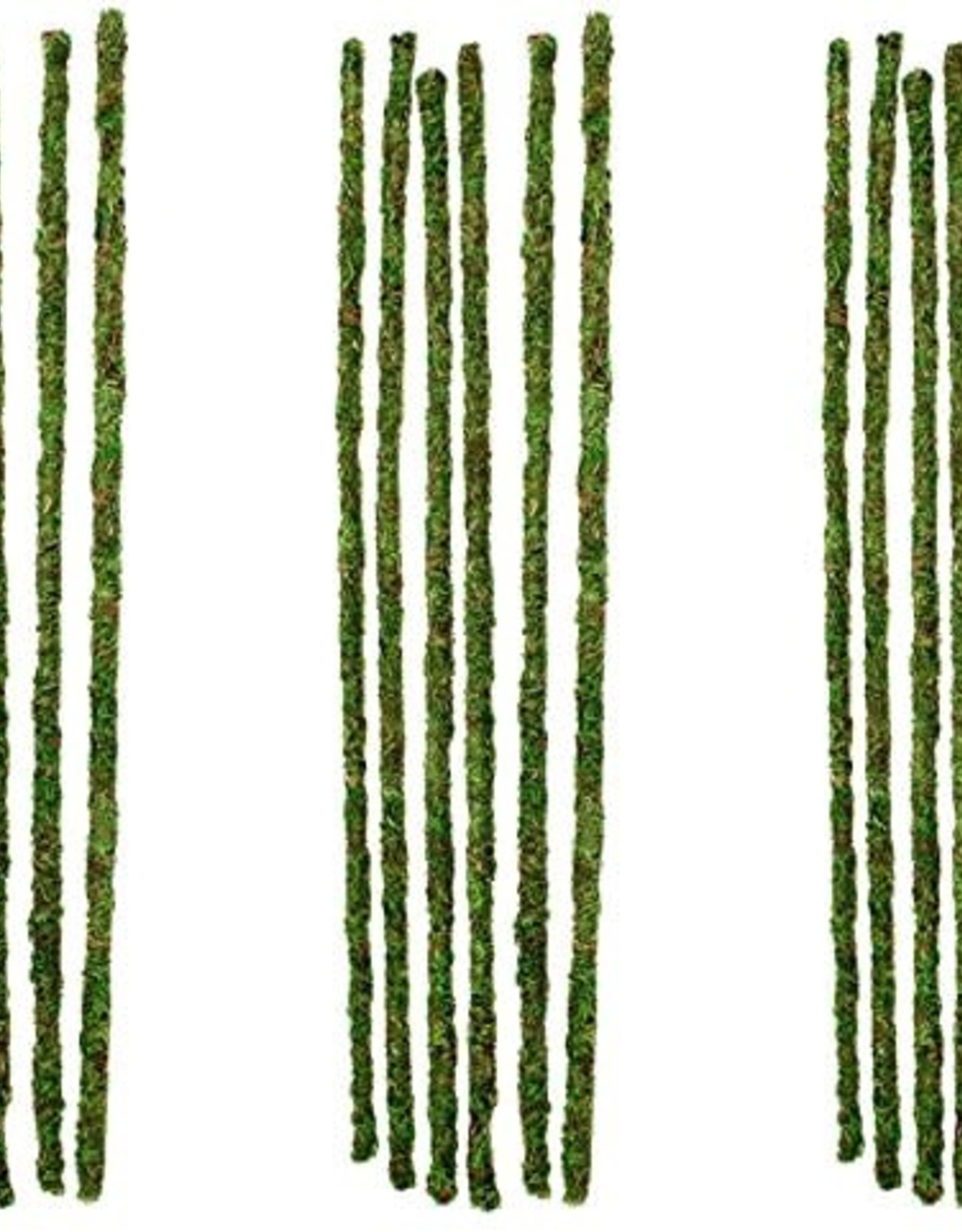 GALAPAGOS GALAPAGOS-MOSSY STICKS- 24 INCH- GREEN-  6 PACK