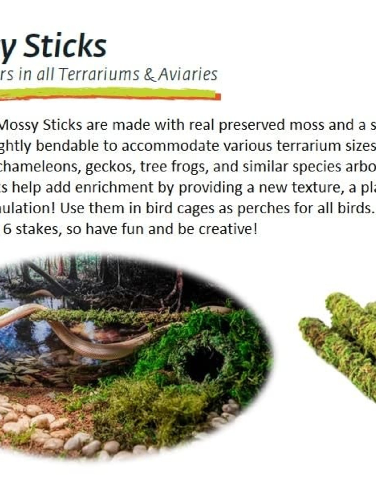 GALAPAGOS GALAPAGOS-MOSSY STICKS- 24 INCH- GREEN-  6 PACK