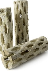 GALAPAGOS GALAPAGOS-CHOLLA WOOD BRANCHES- NATURAL- 24 INCHES