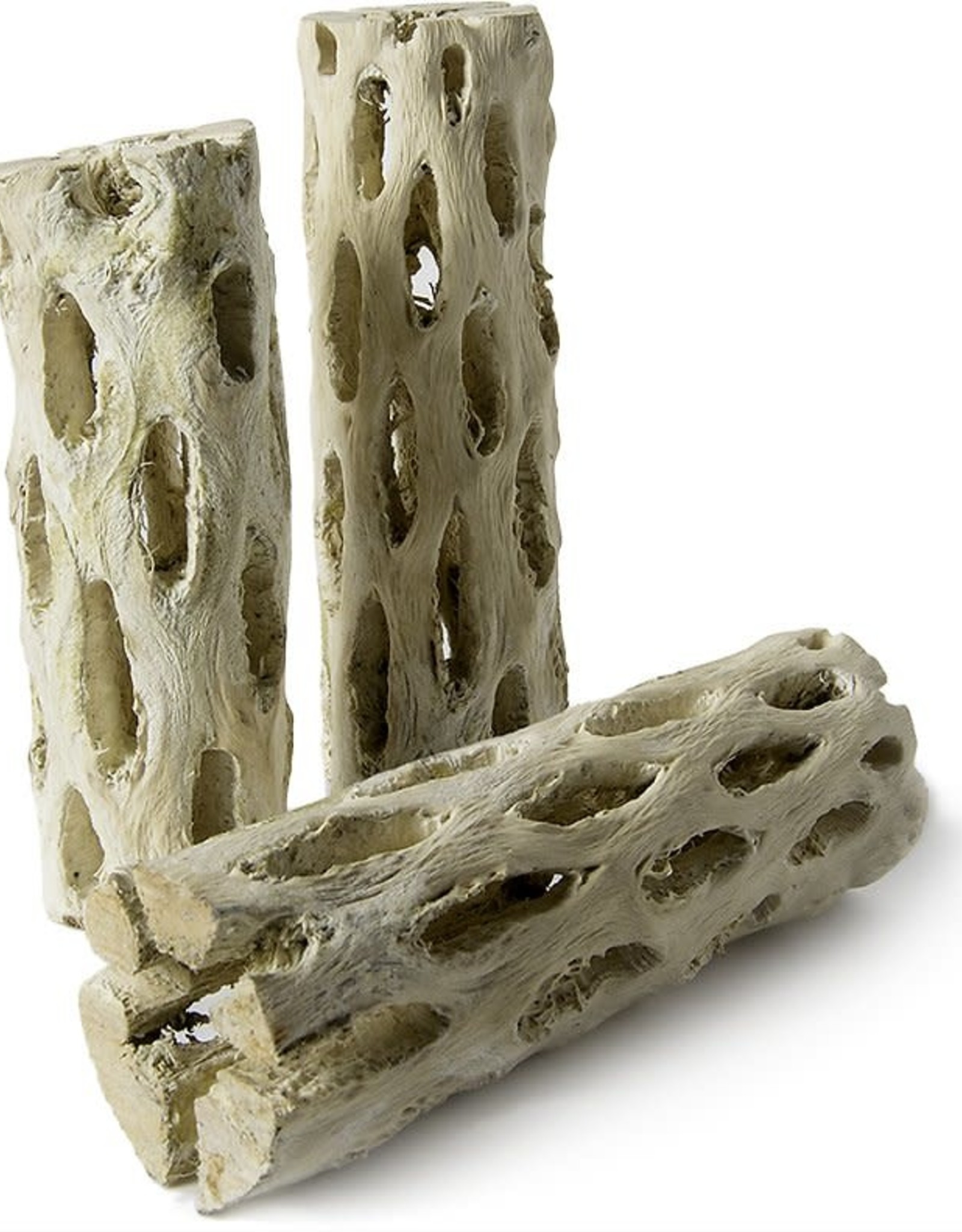 GALAPAGOS GALAPAGOS-CHOLLA WOOD BRANCHES- NATURAL- 24 INCHES