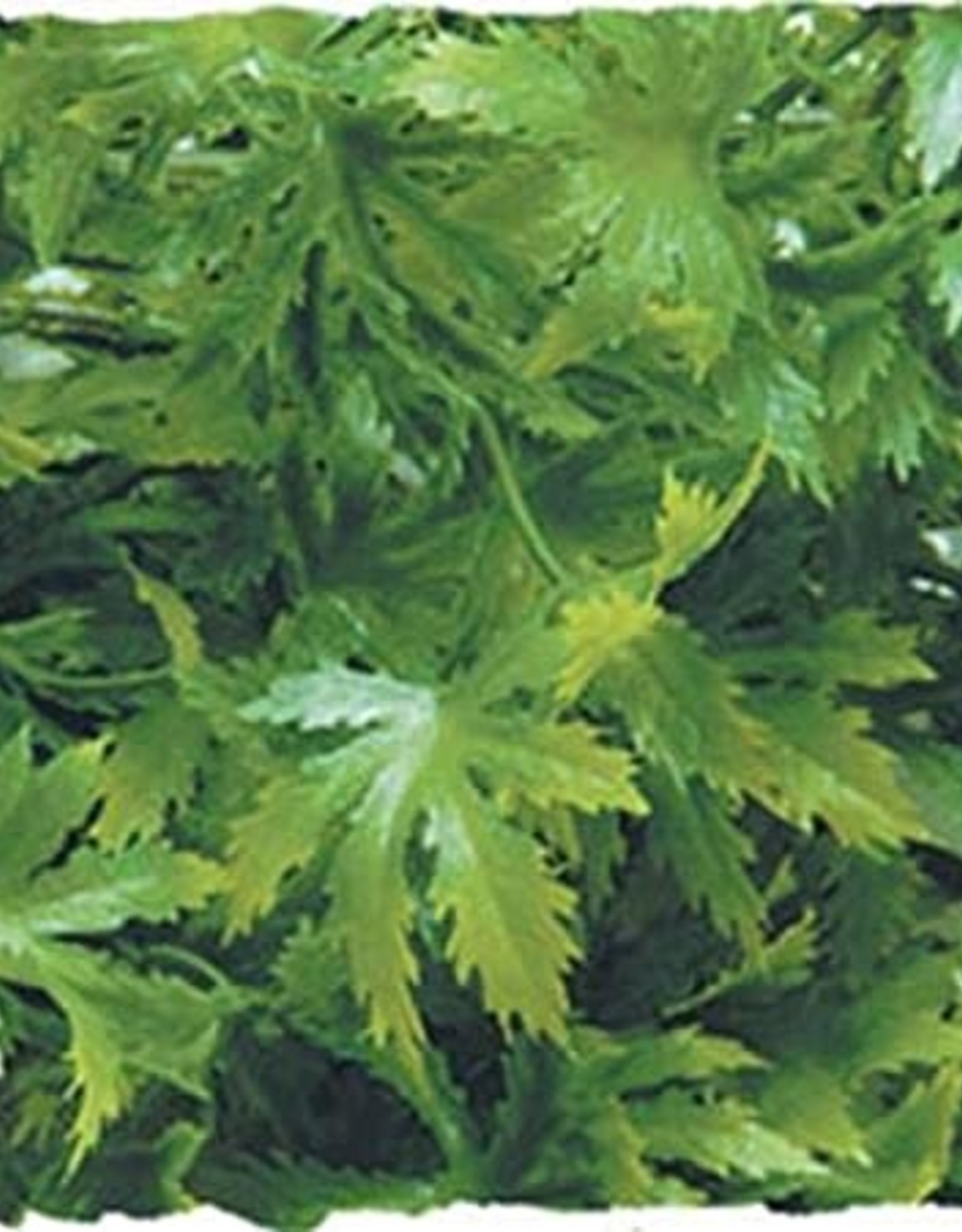 ZOO MED LABORATORIES, INC. ZOO MED- BU-16- NATURALISTIC FLORA- BUSH PLANT- CANNABIS- 14X4X4- SMALL