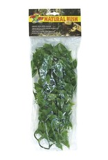 ZOO MED LABORATORIES, INC. ZOO MED- BU-20- NATURALISTIC FLORA- BUSH PLANT- MEXICAN PHYLLO- 18X5X3- MEDIUM